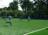 Regio Selectie Schouwen-Duiveland JO14 - Virtus JO14-1 (oefen) (75/148)